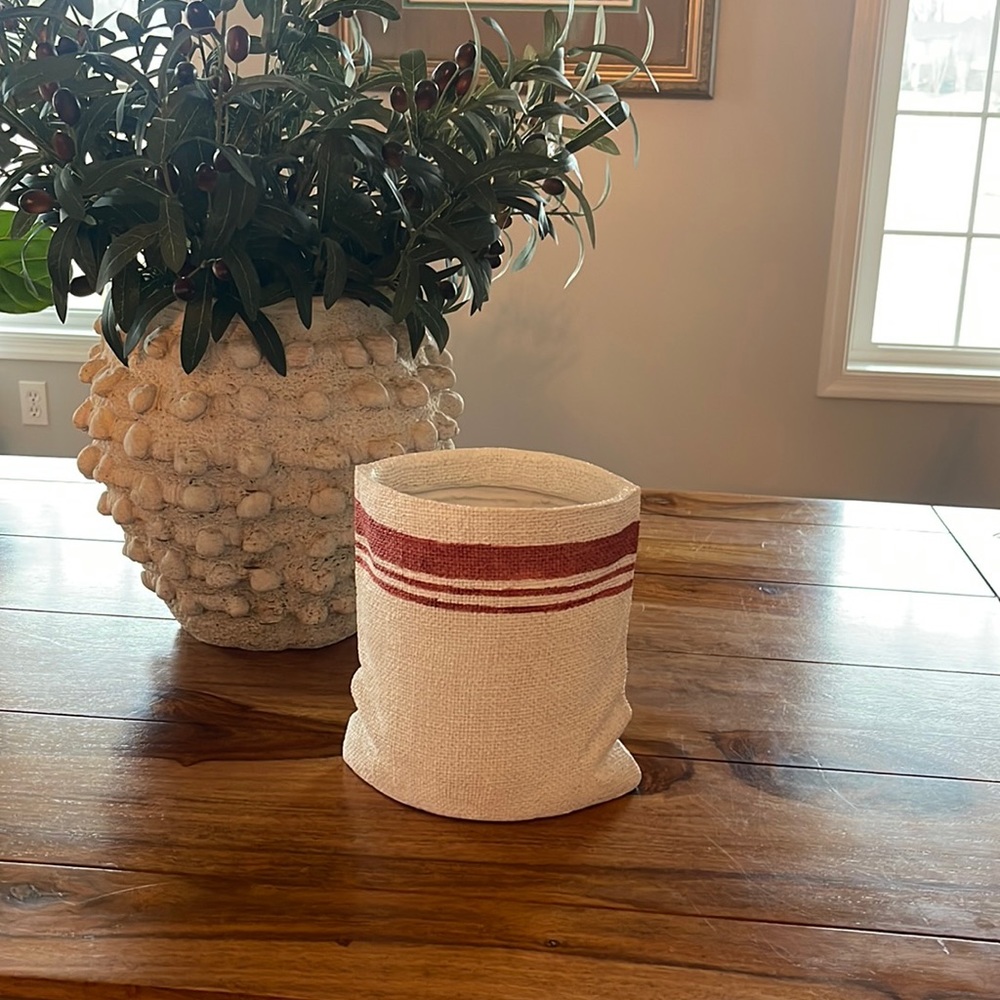 Resin Vase or flower pot - nice for holiday greens or even candy canes or snacks